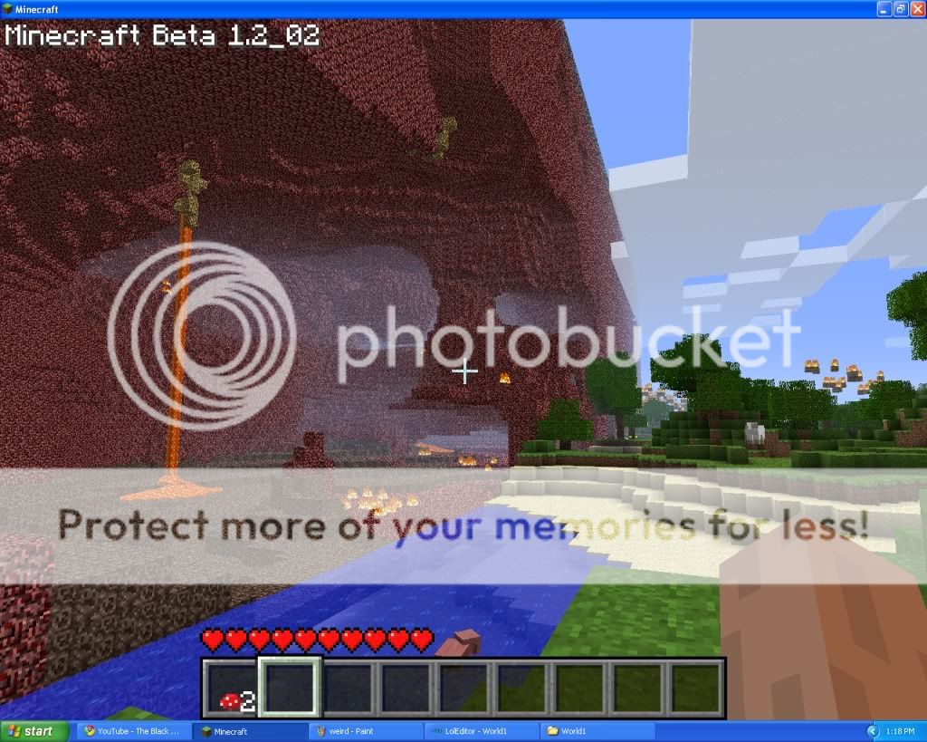 netherworld minecraft