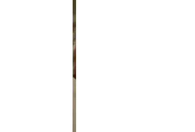 photo tumblr_mwwf6cRg1T1rm7a4so1_400.gif
