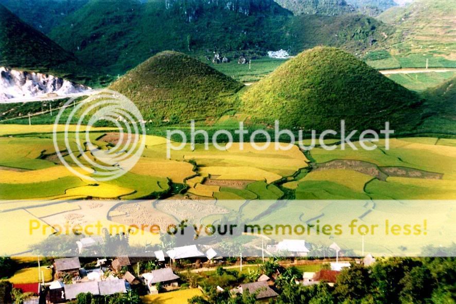 Copyright by Mr.ZHANG