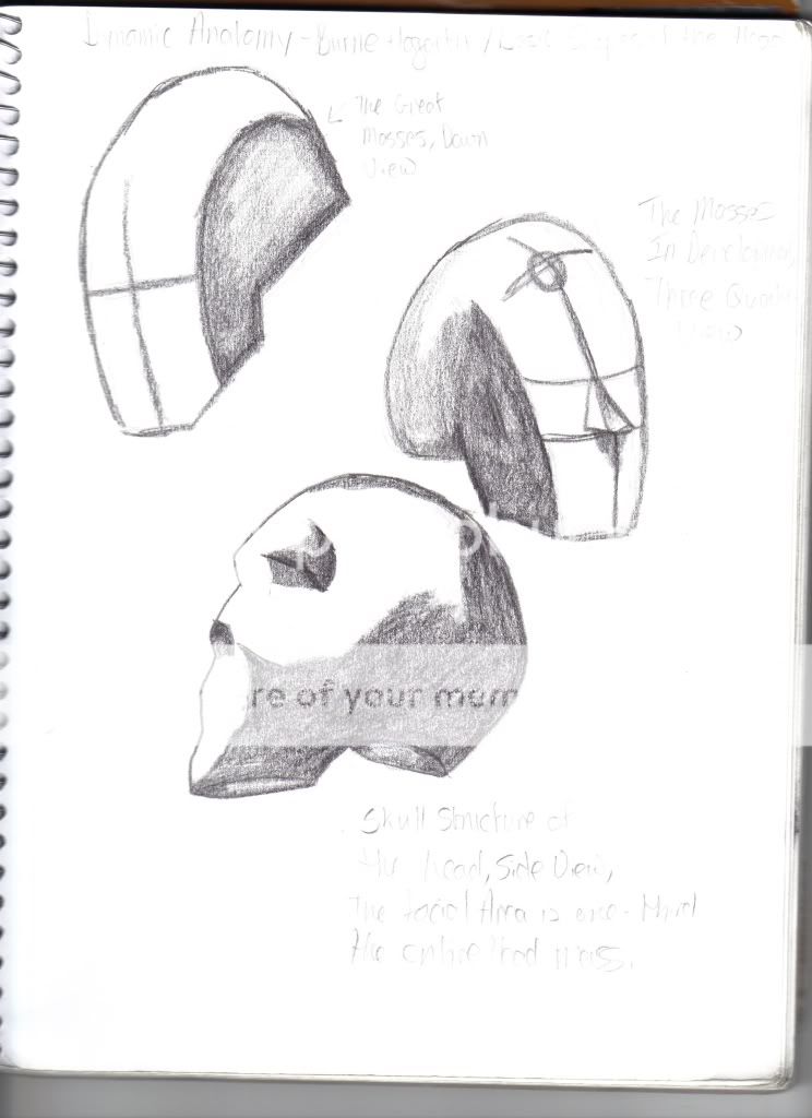 Sketchbook of a 16 year old... Sketchbook of a 16 year old...
