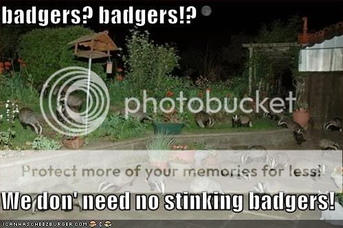 badgersbadgers128635488690276679.jpg