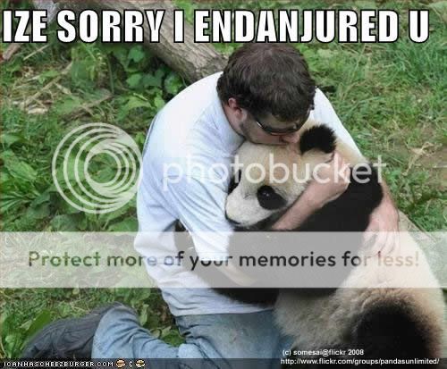 sendangeredpanda.jpg