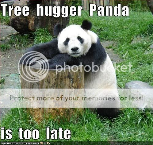 lolpanda.jpg