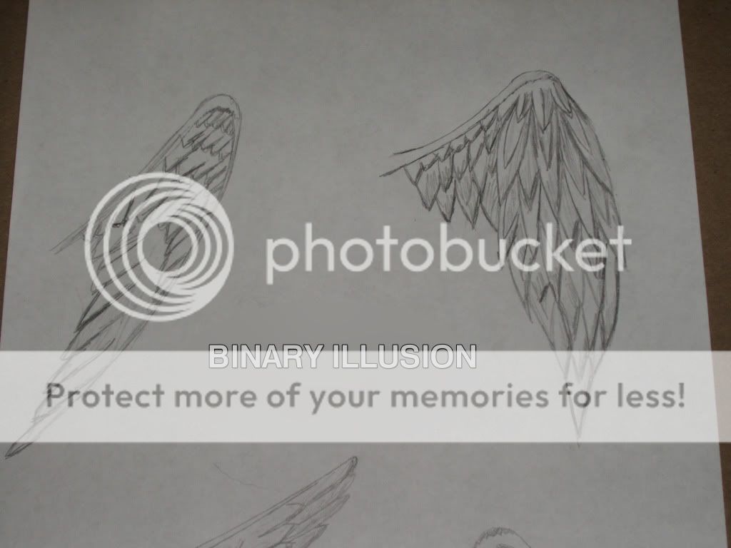 http://i371.photobucket.com/albums/oo158/Binary_Illusion/TopWings.jpg