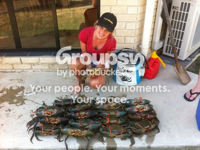 Freezing Crabs - Ausfish fishing Australia, Australian Angling Forums